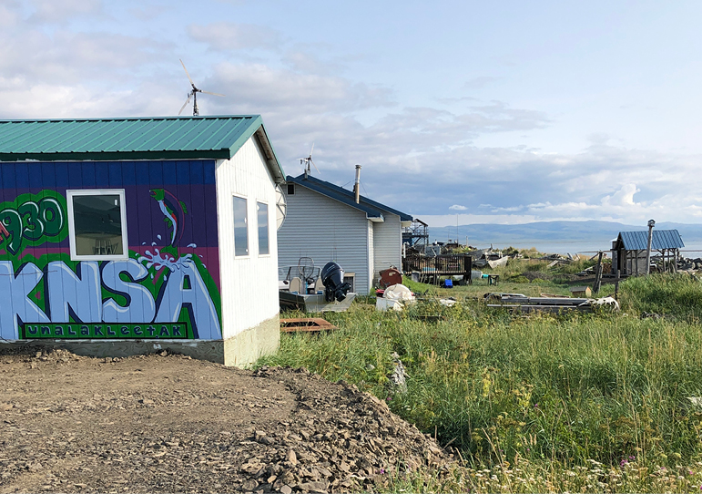 Small homes with graffiti on rural coastland.